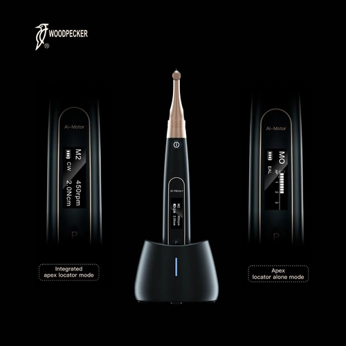 Woodpecker Ai Endomotor Black (Dr. Yoshi Terauchi Edition) / Apex Bulucu - Yeni Nesil Endomotor - Görsel 4